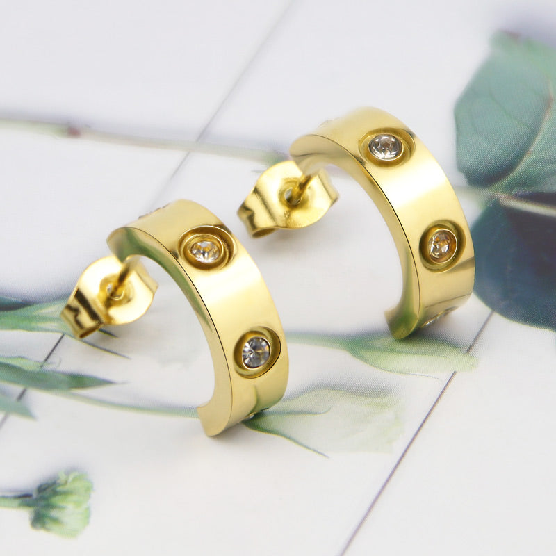 Stainless Steel Earrings